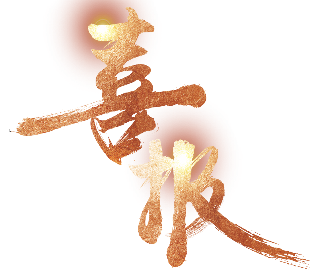 【中標喜訊】鑫飛鵬喜中標 全力以赴創新高！